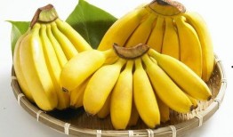 小蕉吃瓜群,揭秘网络社交圈的趣味与争议