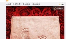 吃瓜经,娱乐圈幕后真相大曝光