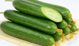 怎么吃生小瓜,探索清新口感与营养的完美结合