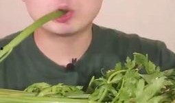 torysmr吃瓜,揭秘娱乐圈背后的那些事儿