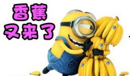 搞笑吃瓜视频解说大全