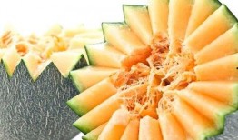 吃哈密瓜能吃牛肉,营养盛宴新体验