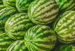 哪里可以看吃瓜,揭秘幕后热点背后的真相