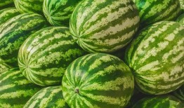 哪里可以看吃瓜,揭秘幕后热点背后的真相