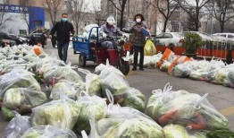 西安 吃瓜 疫情,揭秘网络热议背后的真相