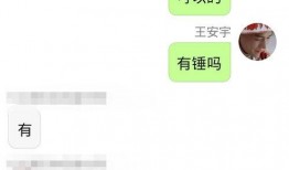 吃瓜汇总语录,揭秘网络热议背后的趣味与真相