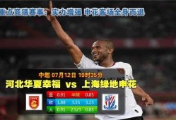 河北足球中超决赛比分