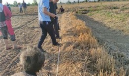 射阳吃瓜事件后续,真相大白，后续发展引关注