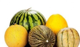 周末吃瓜有什么好处,轻松愉悦，身心受益