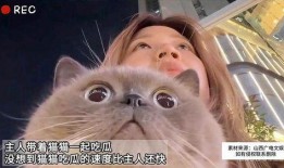 猫咪没吃瓜,揭秘不吃瓜的喵星人秘密