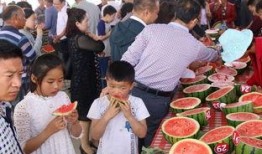 内黄吃瓜可爱,可爱一幕，传递夏日清凉