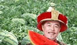 上班路上吃瓜,瓜田里的职场百态