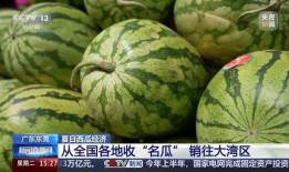 吃瓜几集,一集一真相，带你领略娱乐圈风云变幻