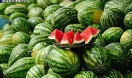 哪里可以看吃瓜,揭秘幕后热点背后的真相