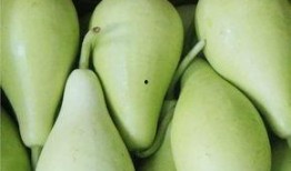 长期吃瓜图片,揭秘长期吃瓜者的生活画卷