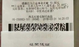 竞彩足球比分奖金大概,揭秘赛事盈利之道