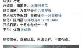 理性吃瓜密码,揭秘网络舆论背后的理性之光