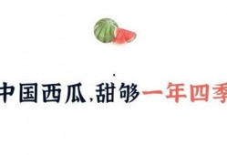 吃瓜接人,揭秘娱乐圈背后的酸甜苦辣