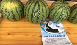 农村的吃瓜人,吃瓜人生