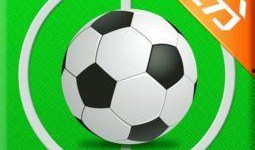 足球比分在哪里买的到,揭秘获取最新比分的方法