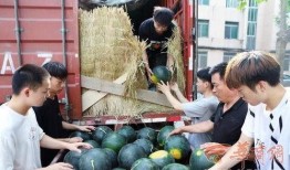 洛阳师范学院吃瓜,揭秘校园美食风云