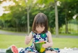 洋洋吃的瓜,洋洋的瓜界探险记