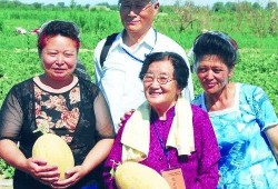 吃瓜教授密码,揭秘网络红人的幕后故事