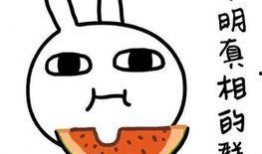 聚会吃瓜文案短句搞笑,聚会吃瓜，欢乐无限短句集锦