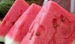 人家吃瓜你吃瓜皮,从吃瓜到吃瓜皮，揭秘娱乐圈的“瓜皮”文化