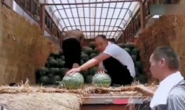 天津人吃瓜现场,街头巷尾的欢乐盛宴