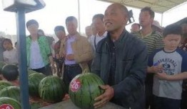 内黄吃瓜可爱,可爱一幕，传递夏日清凉