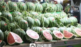 汾阳吃瓜免费观看,吃瓜群众狂欢盛宴