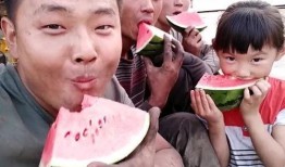 老总吃瓜,揭秘企业高层背后的八卦风云