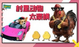 解忧大队奇葩吃瓜,奇闻异事，奇葩吃瓜大集合