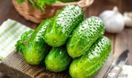 四人pk 吃瓜,吃瓜群众见证历史性对决