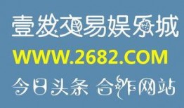 国内买足球比分的网站