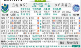 枥木与水户足球比分预测,足球对决，比分预测揭晓！”