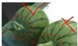 摘瓜吃瓜配乐叫什么名字,旋律悠扬——探寻经典配乐摘瓜曲背后的故事