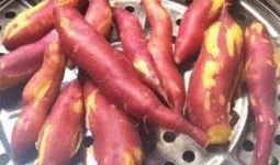 鱼耳直播吃瓜,一场别开生面的吃瓜盛宴