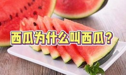 如何获得吃瓜,轻松掌握吃瓜技巧，畅享夏日清凉时光