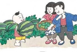 吃瓜吆喝声,吃瓜吆喝声中的市井百态