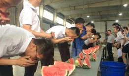 汝州吃瓜群众案件结果,真相大白，法律公正彰显