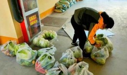 西安 吃瓜 疫情,揭秘网络热议背后的真相