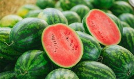 瓜瓜吃瓜2,揭秘娱乐圈背后的秘密与真相