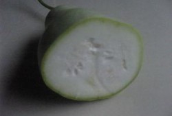 煮着吃的瓜叫什么瓜,煮食佳肴——探寻煮着吃的瓜之美