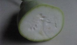 煮着吃的瓜叫什么瓜,煮食佳肴——探寻煮着吃的瓜之美