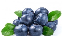 伊春初中吃瓜,揭秘校园里的“瓜田”趣事