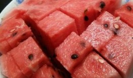 洋洋吃的瓜,洋洋的瓜界探险记