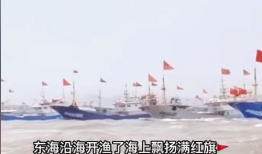 吃瓜渔船看法,揭秘海上生活百态