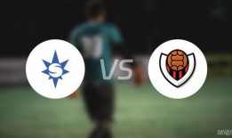 足球比赛比分结果维京,比分揭晓！